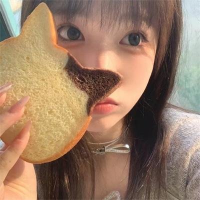 鹊巢鸠占